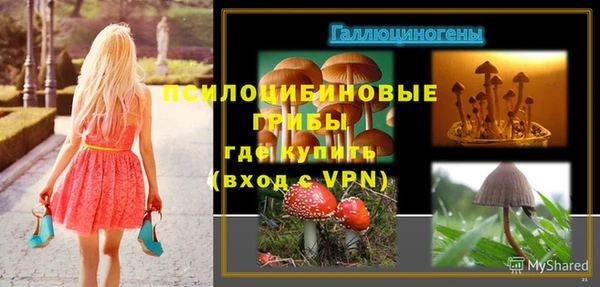 хмурый Алзамай