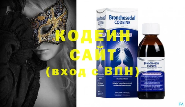 хмурый Алзамай