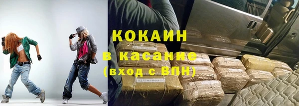 хмурый Алзамай